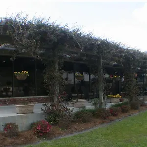 Hotel Quail Run
